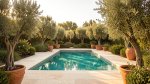 Mediterranes Pooldesign: Stil, Pflanzen, Materialien